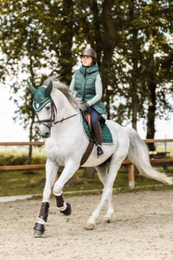 B Vertigo Evolve Soundless Fliegenhaube -Back on Track Verkäufe 22955 681 05