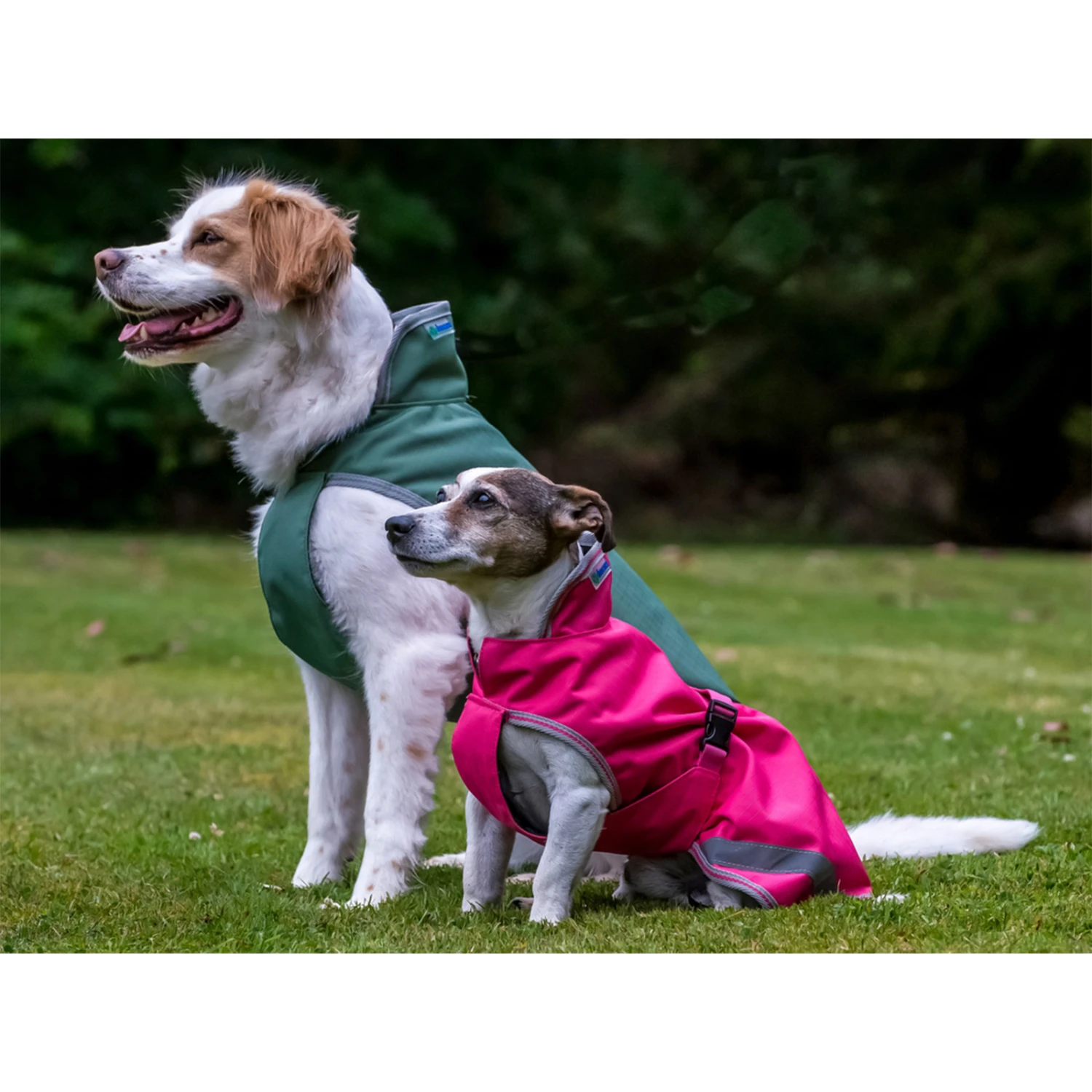 Bucas Freedom Hunde Decke, 300g 30-45 2 Bucas Freedom Hunde Decke, 300g 30-45 – Bild 2