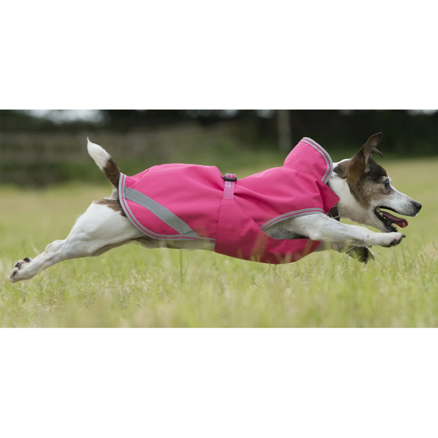 Bucas Freedom Hunde Decke, 300g 30-45 4 Bucas Freedom Hunde Decke, 300g 30-45 – Bild 4