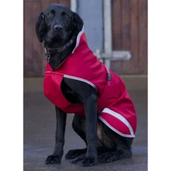 Bucas Freedom Hunde Decke, 50g 30-45 -Back on Track Verkäufe 300441 SRE 1