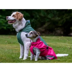 Bucas Freedom Hunde Decke, 50g 50-75 -Back on Track Verkäufe 300442 SRE 2