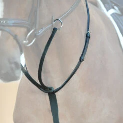 Kavalkade Martingal Ecoline -Back on Track Verkäufe 308157 BL 4