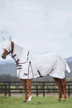 Weatherbeeta Comfitec Essential Mesh Maske -Back on Track Verkäufe 317416 WH DRE 2