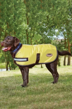 Weatherbeeta Reflective 300D Hundedecke -Back on Track Verkäufe 319793 YE 1