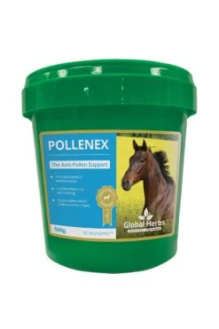 Global Herbs Pollene-X 500g