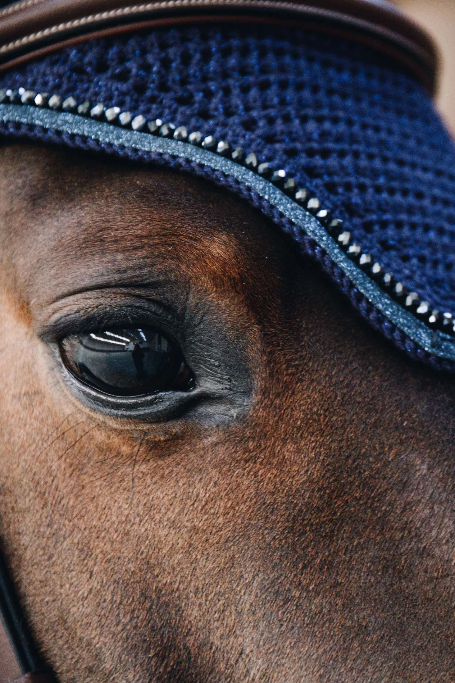 Kentucky Horsewear Wellington Glitter Soundless Fliegenhaube 8 Kentucky Horsewear Wellington Glitter Soundless Fliegenhaube – Bild 8