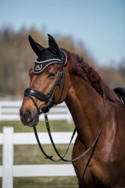 Back On Track Haze Kollektion Fliegenhauben 20 Back On Track Haze Kollektion Fliegenhauben -Back on Track Verkäufe 333188 BL RPI 5