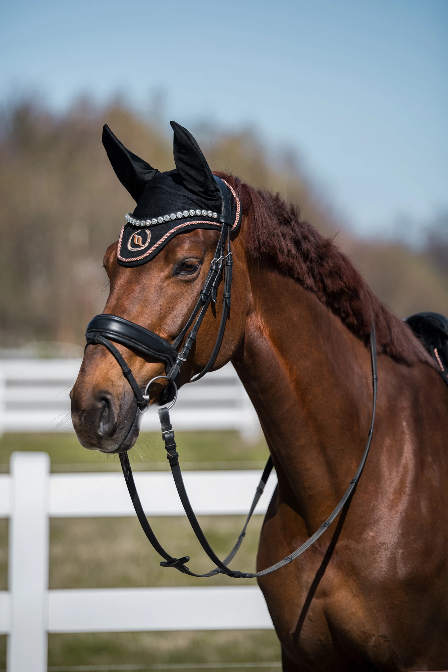 Back On Track Haze Kollektion Fliegenhauben 10 Back On Track Haze Kollektion Fliegenhauben – Bild 10