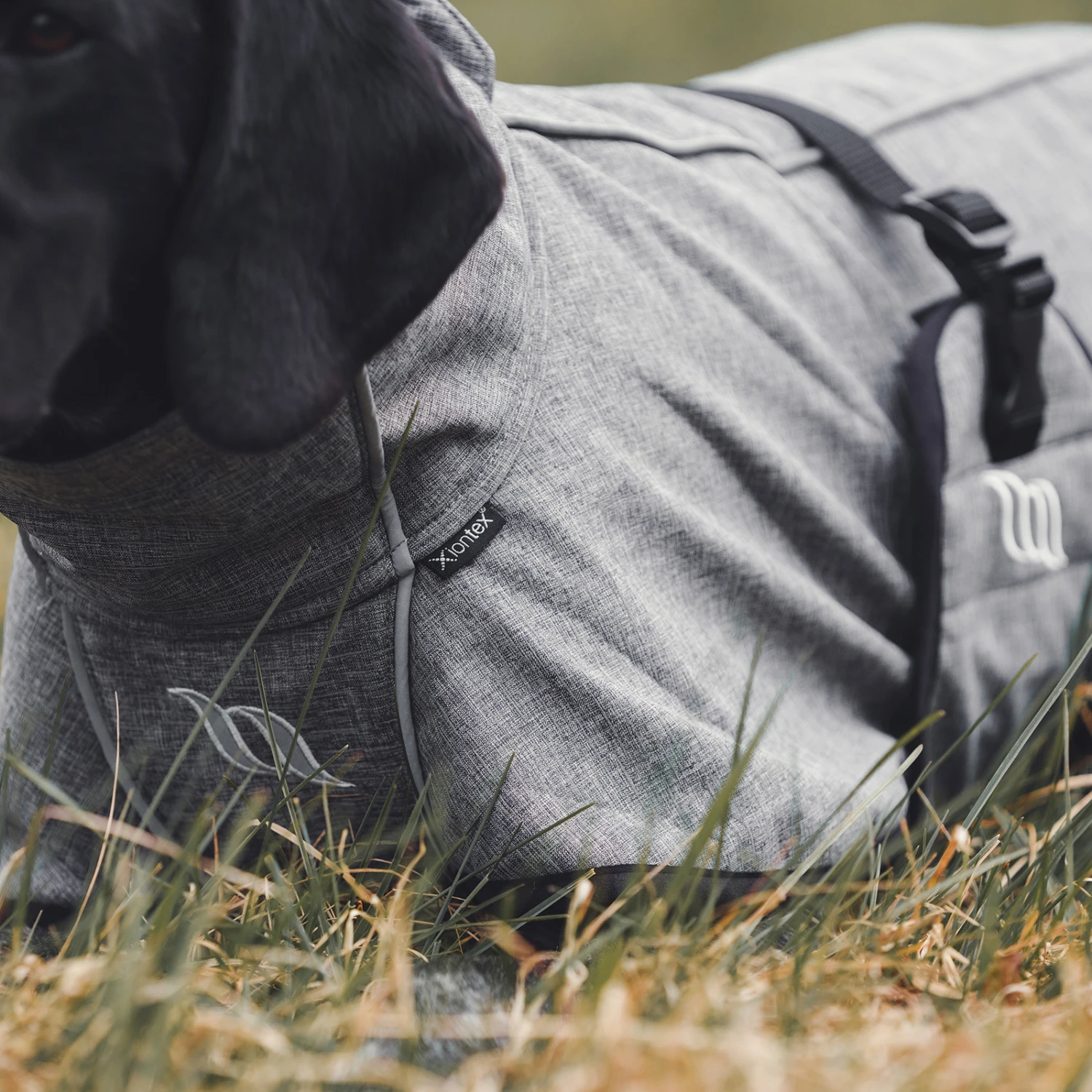 Back On Track Bark All-Round Hundemantel, 55-65cm 6 Back On Track Bark All-Round Hundemantel, 55-65cm – Bild 6