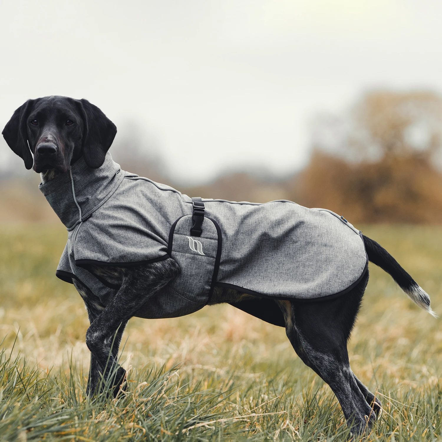 Back On Track Bark All-Round Hundemantel, 55-65cm 7 Back On Track Bark All-Round Hundemantel, 55-65cm – Bild 7