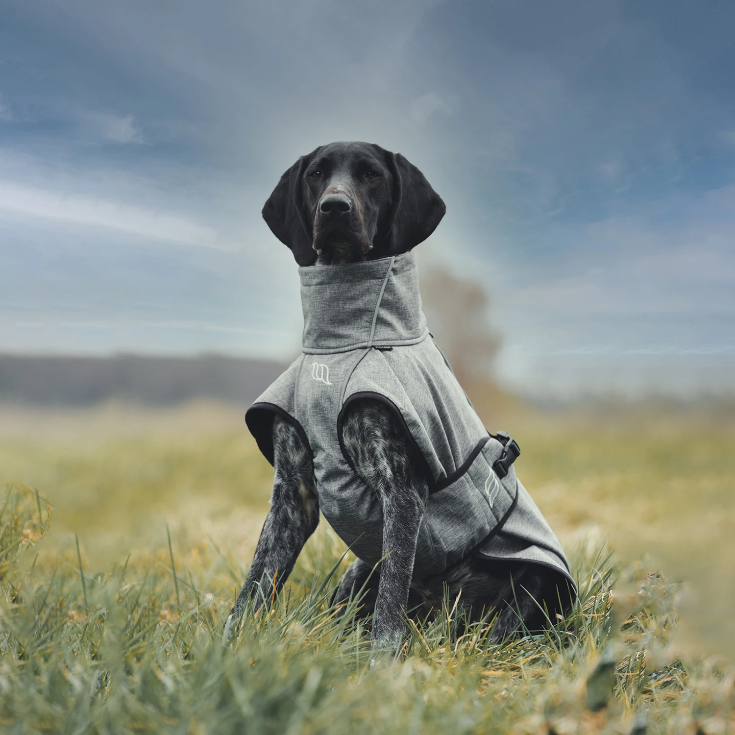 Back On Track Bark All-Round Hundemantel, 55-65cm 8 Back On Track Bark All-Round Hundemantel, 55-65cm – Bild 8