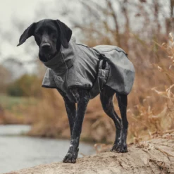 Back On Track Bark All-Round Hundemantel, 55-65cm 19 Back On Track Bark All-Round Hundemantel, 55-65cm -Back on Track Verkäufe 335308 G 7