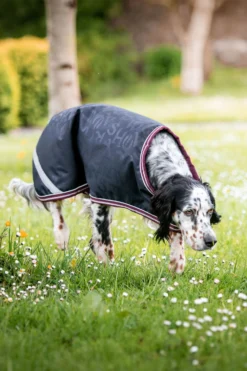 Horseware Amigo Ripstop Hundemantel, 100g -Back on Track Verkäufe 335984 DB BU 1