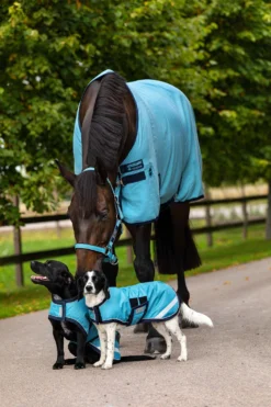 Horseware Amigo Ripstop Hundemantel, 100g -Back on Track Verkäufe 335984 DLPB DB 2