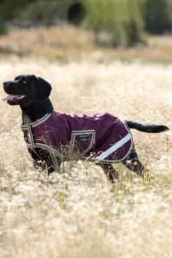 Horseware Amigo Ripstop Hundemantel, 100g -Back on Track Verkäufe 335984 FPU DB TBR 1