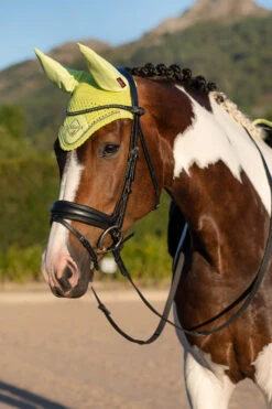LeMieux Classic Fliegenohren -Back on Track Verkäufe 338077 SLGR 02