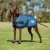 Weatherbeeta Comfitec Classic Hundemantel (45-80cm)