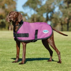 Weatherbeeta Comfitec Classic Hundemantel (45-80cm) -Back on Track Verkäufe 338266 PI 1