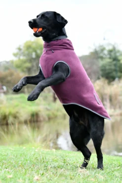 Weatherbeeta Comfitec Fleece Zip Hundemantel 5 Weatherbeeta Comfitec Fleece Zip Hundemantel -Back on Track Verkäufe 338277 MDRE G 02