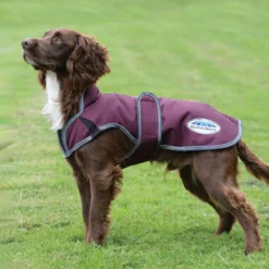 Weatherbeeta Comfitec Premier Free Parka Deluxe Hundemantel, 220g -Back on Track Verkäufe 338278 DRE G 1