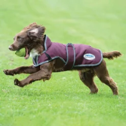 Weatherbeeta Comfitec Premier Free Parka Deluxe Hundemantel, 220g -Back on Track Verkäufe 338278 DRE G 2