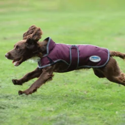 Weatherbeeta Comfitec Premier Free Parka Deluxe Hundemantel, 220g -Back on Track Verkäufe 338278 DRE G 3