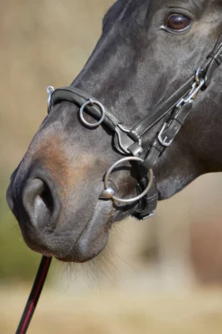 Kieffer Ultrasoft® Kappzaum -Back on Track Verkäufe 339377 BL 03