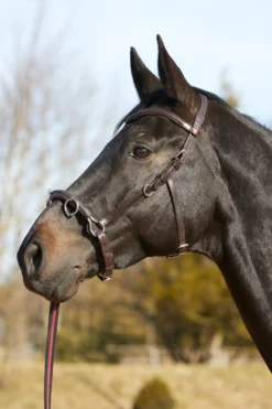 Kieffer Ultrasoft® Kappzaum -Back on Track Verkäufe 339377 BR 02