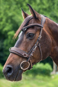 Waldhausen Anatomic Lederkappzaum 5 Waldhausen Anatomic Lederkappzaum -Back on Track Verkäufe 339874 BR 2