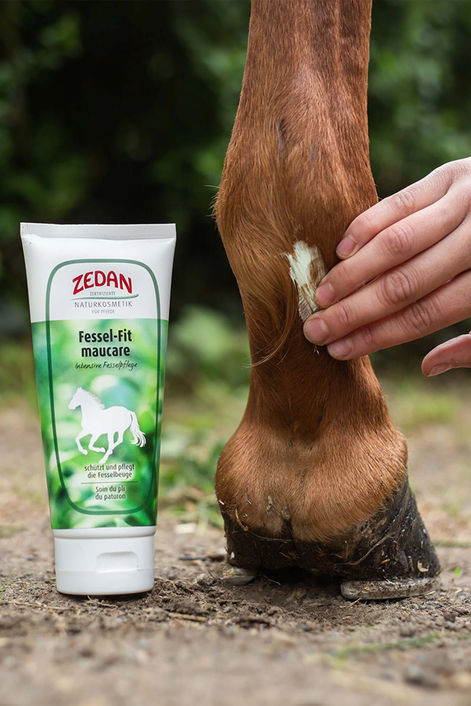 Zedan Fessel-Fit Maucare, Mauke, 200ml 2 Zedan Fessel-Fit Maucare, Mauke, 200ml – Bild 2