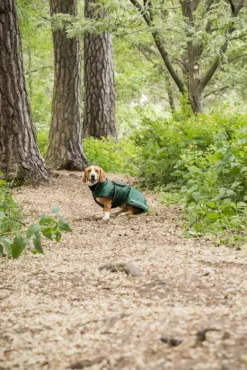 Back On Track Buddy Langer Hundemantel(28-44cm) -Back on Track Verkäufe 342238 GR 2