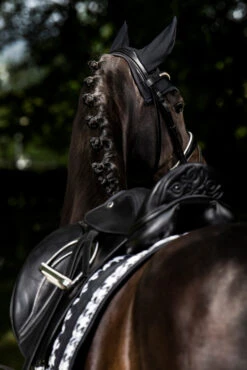 Eskadron Essence 22/23 Big Square Glossy Dressurschabracke -Back on Track Verkäufe 342542 BL WH LOGR 3