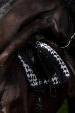 Eskadron Essence 22/23 Big Square Glossy Dressurschabracke -Back on Track Verkäufe 342542 BL WH LOGR 5