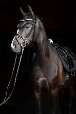 Eskadron Essence 22/23 Glitter Mesh Sport Fliegenhaube -Back on Track Verkäufe 342557 DOGR 2