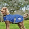 Weatherbeeta Comfitec Windbreaker Free Hundemantel