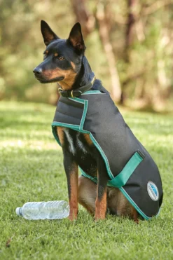 Weatherbeeta Green-Tec 900D Hundemantel Lite, 50g