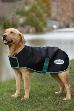 Weatherbeeta Green-Tec 900D Hundemantel Lite, 50g -Back on Track Verkäufe 343130 BL BDGR 3