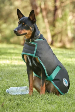 Weatherbeeta Green-Tec 900D Hundemantel Medium, 220g