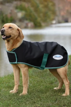 Weatherbeeta Green-Tec 900D Hundemantel Medium, 220g -Back on Track Verkäufe 343131 BL BDGR 3