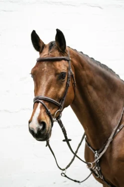 Schockemöhle Cape Town Select Trense -Back on Track Verkäufe 343529 DBR SI 2