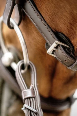 Schockemöhle Cape Town Select Trense -Back on Track Verkäufe 343529 DBR SI 3