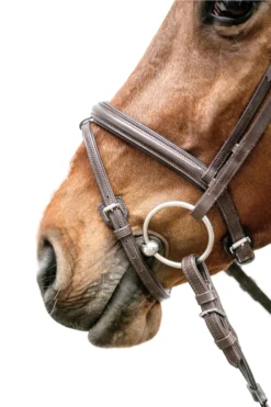 Schockemöhle Cape Town Select Trense -Back on Track Verkäufe 343529 DBR SI 4