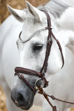 Kavalkade Everness Trense