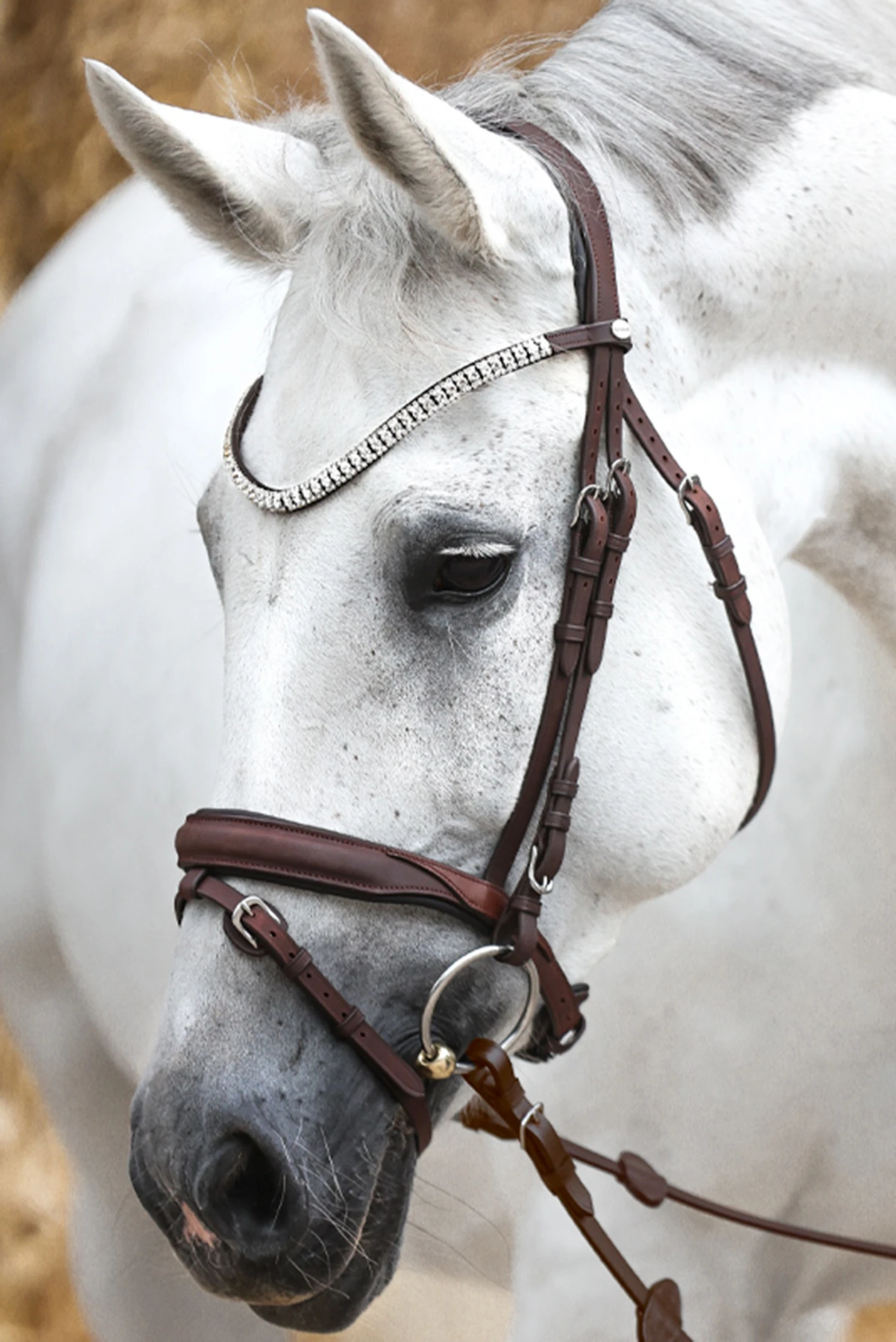 Kavalkade Everness Trense 1 Kavalkade Everness Trense