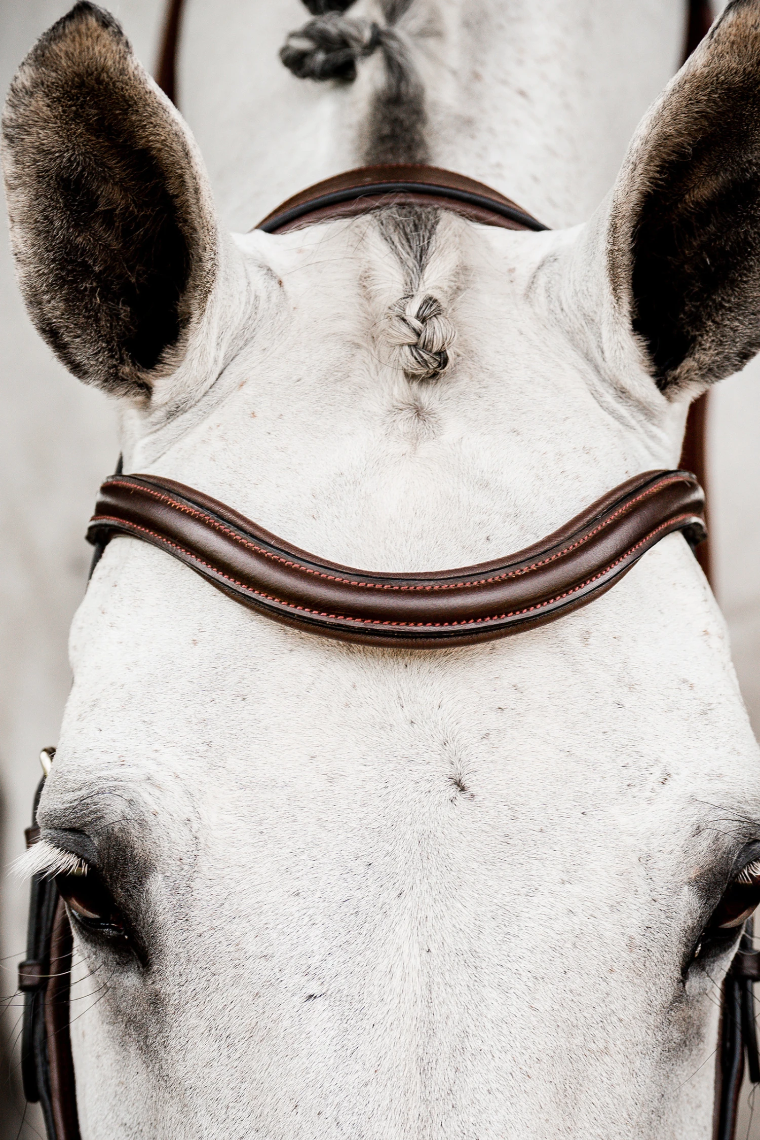 Horseware Rambo Micklem 2 Deluxe Competition Trense 5 Horseware Rambo Micklem 2 Deluxe Competition Trense – Bild 5