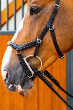 Horseware Rambo Micklem 2 Diamante Competition Trense -Back on Track Verkäufe 345013 BL 03
