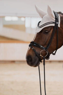 Eskadron Platinum 23 Mesh Fliegenhaube -Back on Track Verkäufe 345466 TBR 02