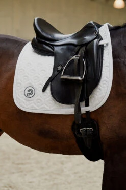 Eskadron Platinum Pure FS23 Highgloss Peacock Dressurschabracke 6 Eskadron Platinum Pure FS23 Highgloss Peacock Dressurschabracke -Back on Track Verkäufe 345505 WH 01