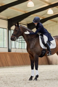 Eskadron Platinum Pure FS23 Highgloss Peacock Dressurschabracke 7 Eskadron Platinum Pure FS23 Highgloss Peacock Dressurschabracke -Back on Track Verkäufe 345505 WH 02