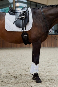 Eskadron Platinum Pure FS23 Glitter-Mesh Dressurschabracke 6 Eskadron Platinum Pure FS23 Glitter-Mesh Dressurschabracke -Back on Track Verkäufe 345510 WH 01